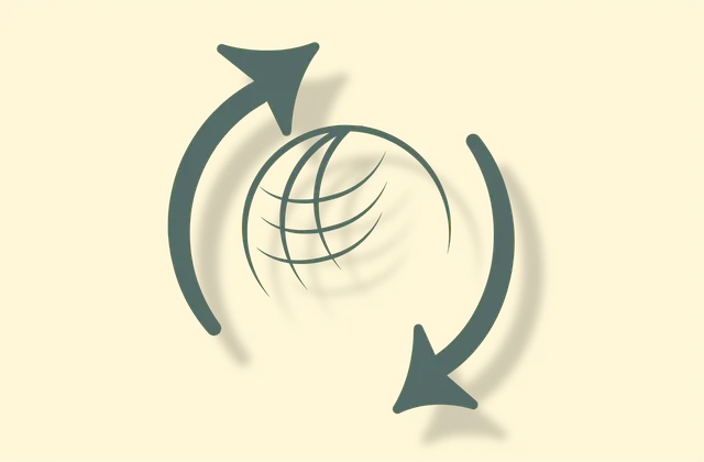 Management Systems International (MSI)