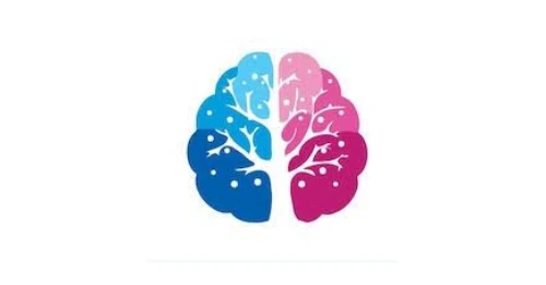 Charmaghz Cultural & Services Organization